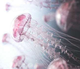 钣金加工行业中激光切割机的地位高的原因在哪?